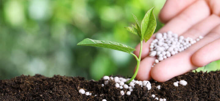 gaertnerglueck themeneinstieg duenger 1600x740